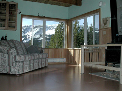 Living room and wood stove